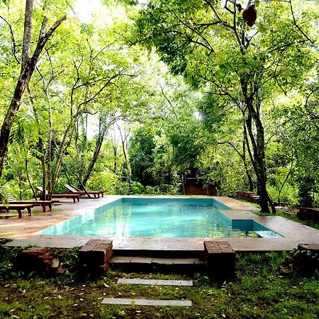 Mahagedara Wellness Retreat Ξενοδοχείο Avudangawa Εξωτερικό φωτογραφία