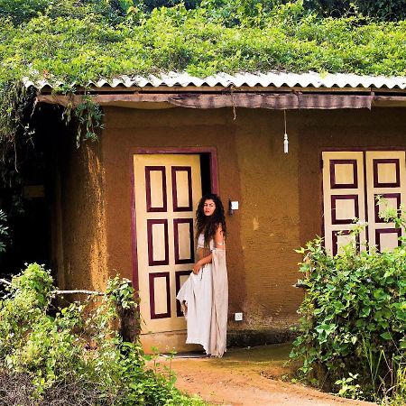 Mahagedara Wellness Retreat Ξενοδοχείο Avudangawa Εξωτερικό φωτογραφία