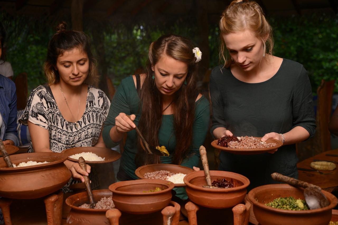 Mahagedara Wellness Retreat Ξενοδοχείο Avudangawa Εξωτερικό φωτογραφία