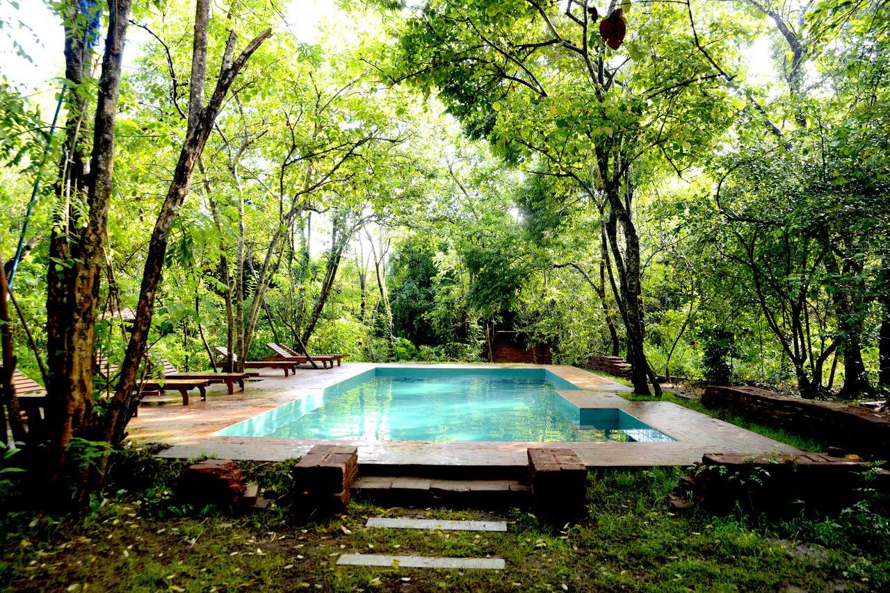 Mahagedara Wellness Retreat Ξενοδοχείο Avudangawa Εξωτερικό φωτογραφία