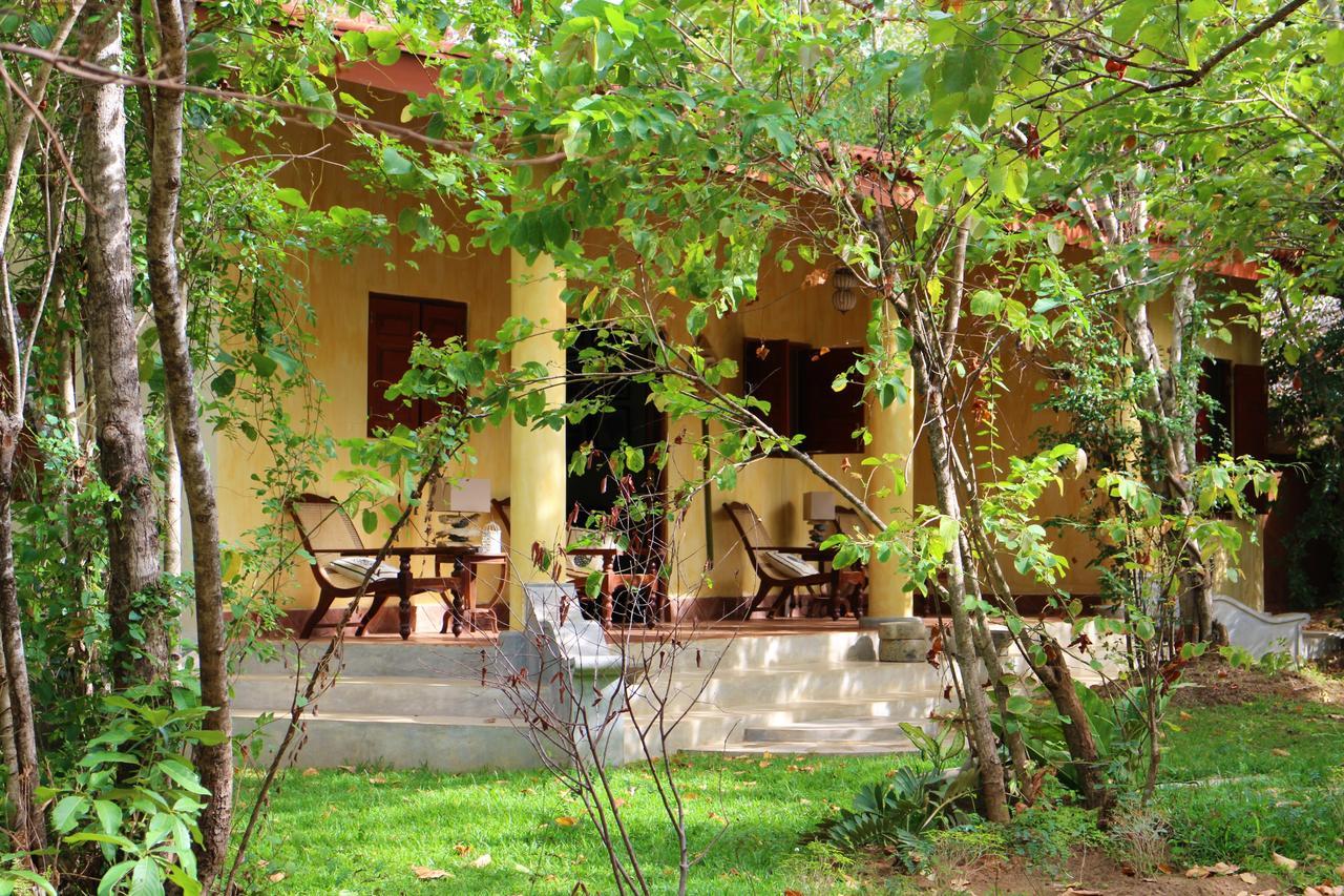 Mahagedara Wellness Retreat Ξενοδοχείο Avudangawa Εξωτερικό φωτογραφία