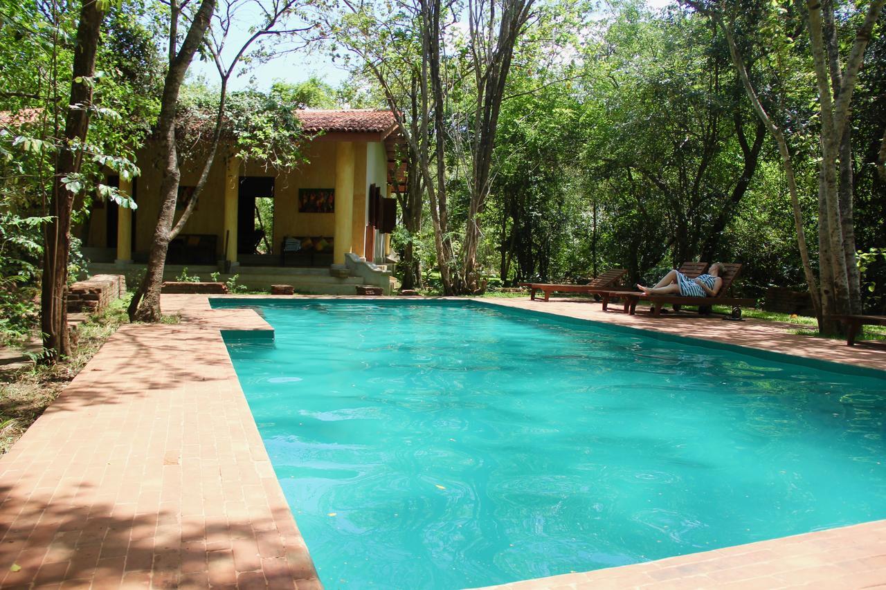 Mahagedara Wellness Retreat Ξενοδοχείο Avudangawa Εξωτερικό φωτογραφία