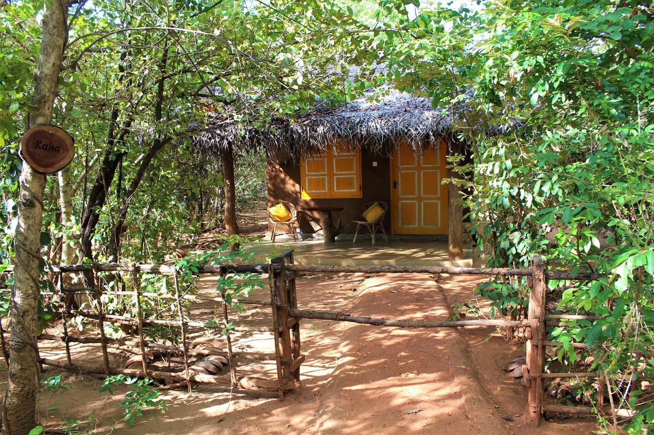 Mahagedara Wellness Retreat Ξενοδοχείο Avudangawa Εξωτερικό φωτογραφία