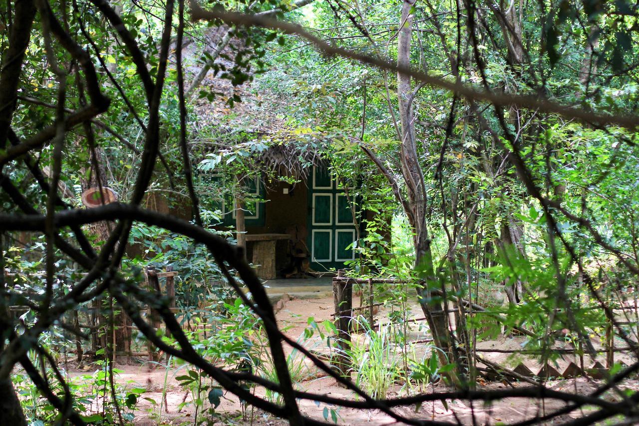 Mahagedara Wellness Retreat Ξενοδοχείο Avudangawa Εξωτερικό φωτογραφία