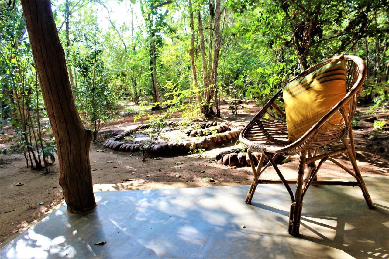 Mahagedara Wellness Retreat Ξενοδοχείο Avudangawa Εξωτερικό φωτογραφία