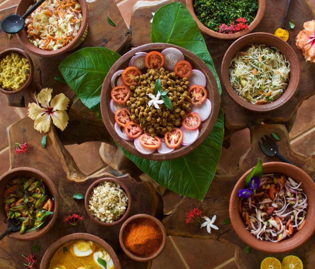 Mahagedara Wellness Retreat Ξενοδοχείο Avudangawa Εξωτερικό φωτογραφία