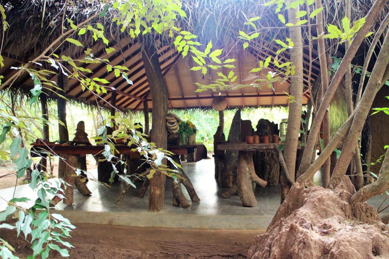 Mahagedara Wellness Retreat Ξενοδοχείο Avudangawa Εξωτερικό φωτογραφία