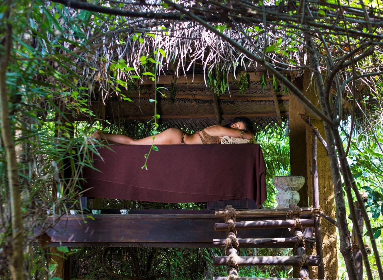 Mahagedara Wellness Retreat Ξενοδοχείο Avudangawa Εξωτερικό φωτογραφία